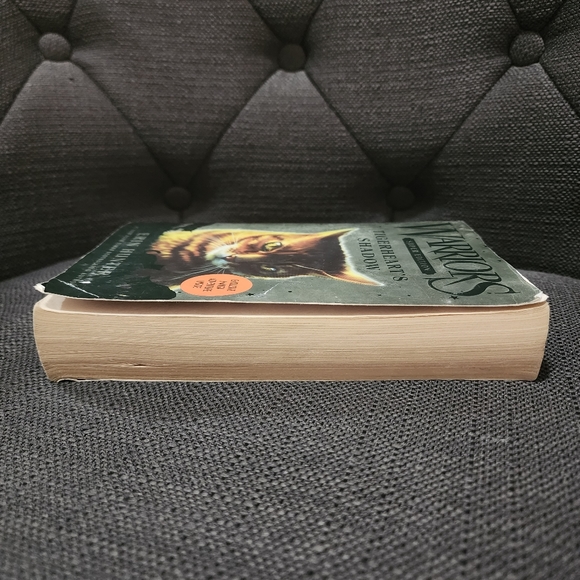 Warriors: Super Edition Tigerheart's Shadow - Picture 6 of 12